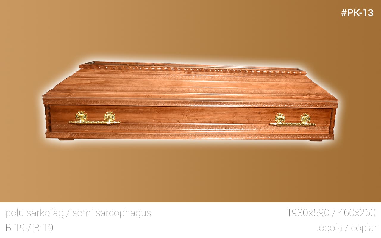 polusarkofag 6
